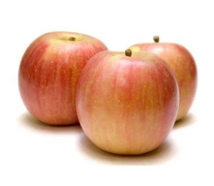 New crop Fresh Apple for Sale
