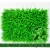 Import high-quality artificial green wall system panel for garden decoration from China