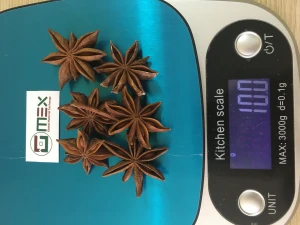 High Quality Star Anise from GMEX.,JSC Vietnam