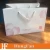 Hot Selling Luxury Designed Gift Paper Bag