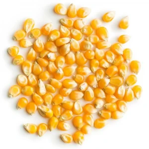WHOLESALE WHOLE YELLOW MAIZE FOR SALE