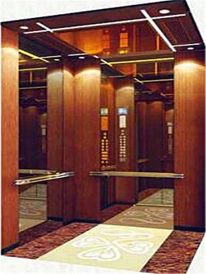 250kg 2 floors stops doors mini home villa lift elevator manufacturer