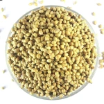 Factory Direct Natural Dried Coriander Seeds Fresh Style Single Spices & Herbs Raw Processing Competitive