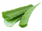 ALOE VERA - FRESH LEAVES / GEL /