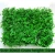 Import high-quality artificial green wall system panel for garden decoration from China