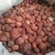 Import ORGANIC DRIED WHOLE ARECA NUTS/DRIED BETAL NUT OR ARECA NUTS from South Africa
