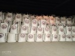 Wholesale Egypt cement price