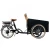Import Cargo Electric Tricycle from China