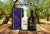 Import Premium Organic Extra Virgin Olive Oil 500ml in Wholesale from Greece