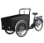 Import Cargo Electric Tricycle from China
