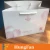 Import Hot Selling Luxury Designed Gift Paper Bag from China