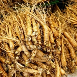 White & Red Ginseng Root, Part of Plant Roots & Stems