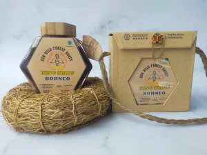 Black Honey 300 gr -  in hexagonal jar 300 grams Raw Wild Borneo's Forest - Kalimantan Island Indonesia