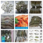Frozen Fishery Products