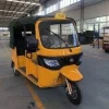 New Manufactured 3 Wheel Adult Passenger E Tricycle