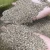 Import 1-3mm/2-4mmNon-Metallic Mineral Deposit-Vermiculite from China