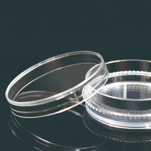 100 mm Cell Culture Dish with Gripping Ring TC Sterile