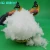 Import 100% polyester Filling Fiber Material from China