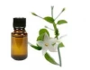 100% Pure & Natural Jasmine Essential Oil/Jasmine Essential Oil From BORG