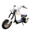 1500w Holland warehouse do drop shipping Electric vehicle with golf bag holder , three wheel electric golf scooter electric