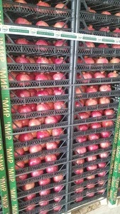 2018 harvest Fresh Pomegranate