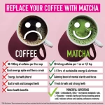 2022 Dropship OEM 100% Organic Bulk Matcha Slimming Green Tea Powder For Tea Beverage With Best Factory Price