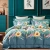 Import 2022 Luxury Printed Duvet Cover Bed Sheet Spreads Bedsheet 4pcs King Size Comforter Floral Bedding Set from China
