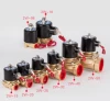 2way brass body 12v dc solenoid valve
