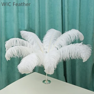 30-32in/75-80cm Dyed Colored White Thick Big Rods Ostrich Plume Cheap Import Large Fluffy Ostrich Feathers Wedding