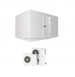 5000t tomato/mango/grape/lemon/fruit/vegetable cold room storage for commercial cold storage