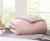 Import 500T BICOLOR GOOSE DOWN WINTER DUVET from China