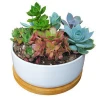 6.2 Inch Modern White Ceramic Succulent Cactus Plant Pot with Drainage Bamboo Tray,Decorative  Garden Flower Holder Pot Ceramic