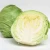 Import Agricultural Import Products With Fresh Cabbage From Viet Nam Used For Cooking In Mesh Bag from Vietnam