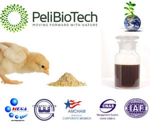 animal feed enzyme as to food conversion rate increase, anti-nutritional factor elimination and cost reduction
