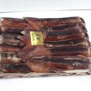 Argentine Illex Squid