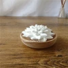 Aroma Clay Ceramic Flower Fragrance Diffuser