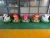 Import Attractive Coin Operated Fiberglass battery electric Animal Bumper Car in Outdoor from China