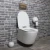 Import Australia certificate WaterMark washdown two piece toilet Sanitary ware WC Into the wall toilet in india from China