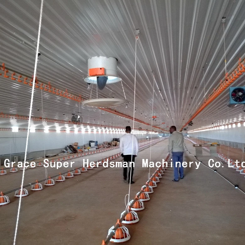 Automatic chicken farm broiler Poultry Farming Equipment for sale