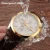 Import Automatic mechanical switzerland brand men wristwatches fashion luxury leather strap watch waterproof 100M clock relogio reloj from China