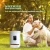 Automatic Pet Feeder Food Dispenser for Dogs, Cats &amp; Small Animals automatic cat feeder dog feeder
