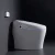 Import Bathroom Good Sanitary Ware Ceramic Wc Bidet Toilet One Piece Siphonic Smart Intelligent Toilet from China