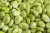 Import Best Price Large Lima Beans from Bangladesh