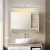 Import Best price mirror light bedroom bathroom mirror headlights 10W 14W from China