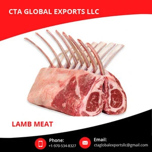 Best Quality 100% Halal Fresh Frozen Lamb Meat at Attractive Price