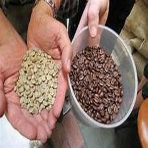 Best quality Green Arabica Coffee Beans from UK