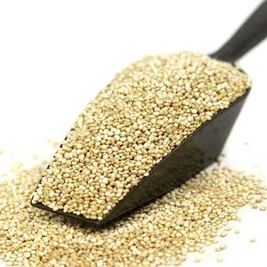 Best Quality Quinoa Seeds From India