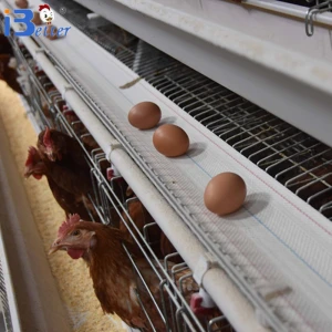 BETTER factory directly supply chicken cage for sale in nigeria High Quality poultry Egg Layer Chicken Cage for sale
