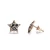 Import BIO ENERGY Fashion Stainless Steel Rose Gold Star Shape Earrings from China