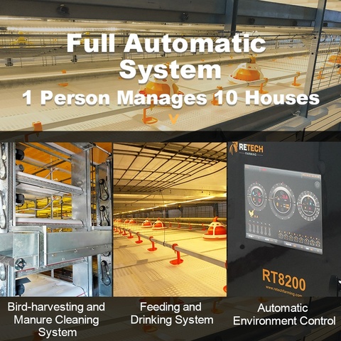 Buy Broiler Poultry Farm House Automated System Battery Broiler Chicken ...